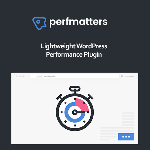 Perfmatters WordPress Eklentisi