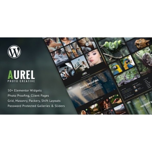 Fotoğrafçılık Aurel