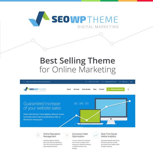 SEO WP | Dijital Pazarlama Ajansı WordPress Teması