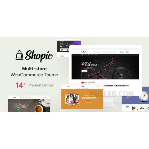 Shopic – Çok Mağazalı WooCommerce WordPress Teması