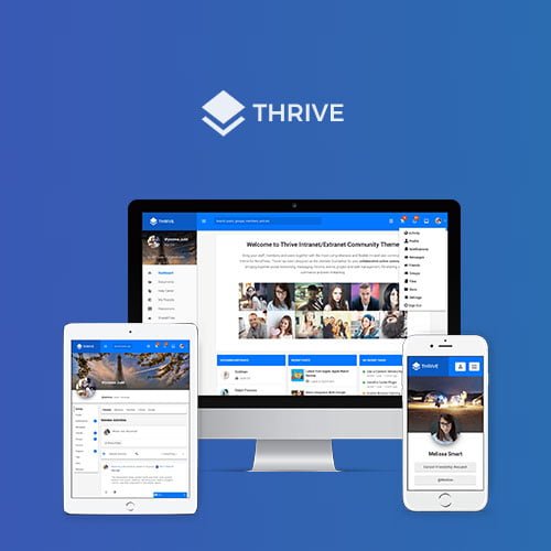 Thrive – İntranet ve Topluluk WordPress Teması Thrive – İntranet ve Topluluk WordPress Teması - Görsel 1