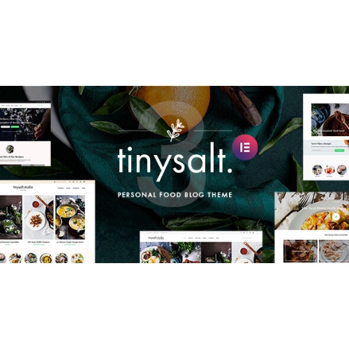 TinySalt – Kişisel Yemek Blogu WordPress Teması