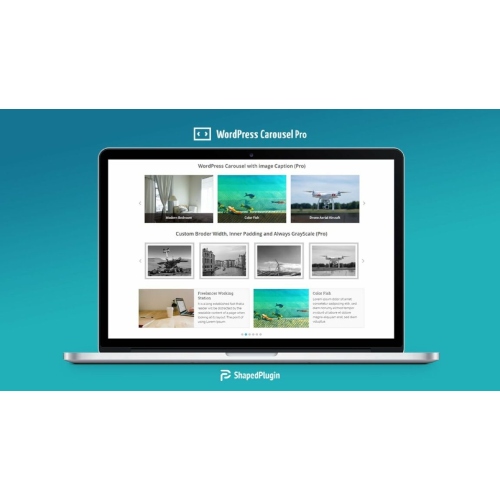WP Atlıkarınca Pro