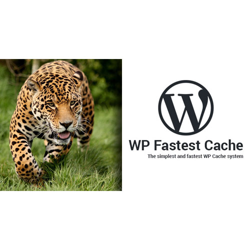 WP En Hızlı Önbellek WordPress Eklentisi – Premium