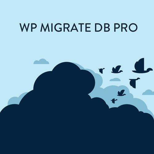 WP DB Pro'yu Geçiş