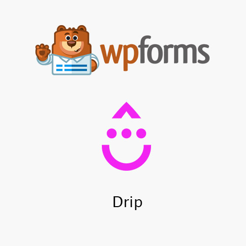 WPForms – Damla WPForms – Damla - Görsel 1