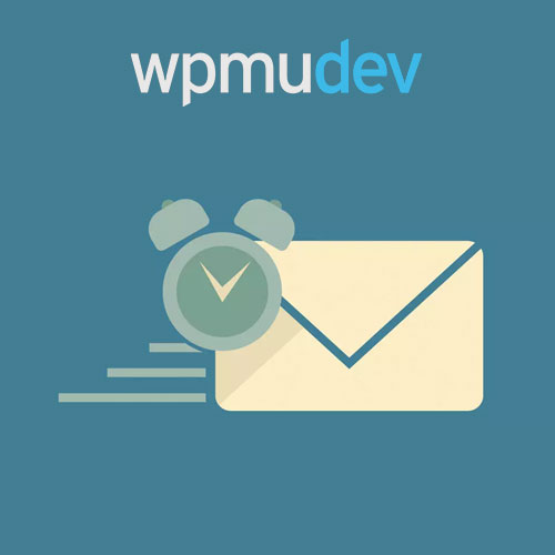 WPMU DEV Otomatik Mesajı