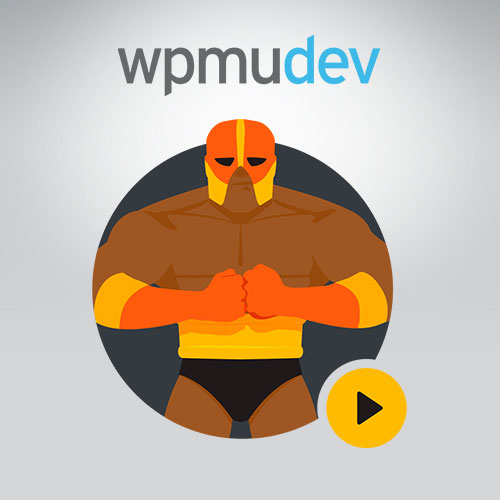 WPMU DEV Defender Pro WPMU DEV Defender Pro - Görsel 1