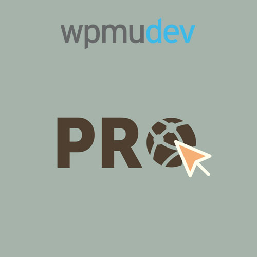 WPMU DEV Pro Siteleri WPMU DEV Pro Siteleri - Görsel 1