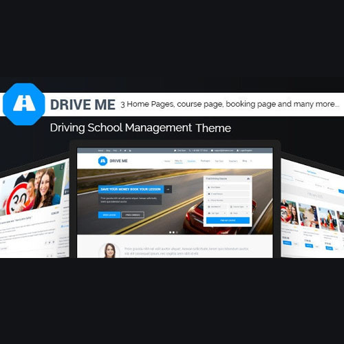 Driveme – Sürücü Kursu WordPress Teması