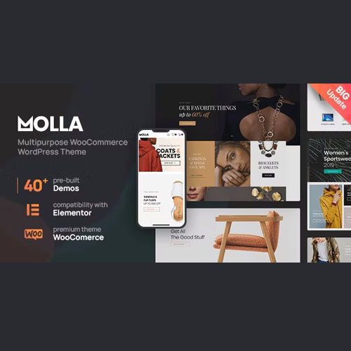 Molla | Çok Amaçlı WooCommerce Teması