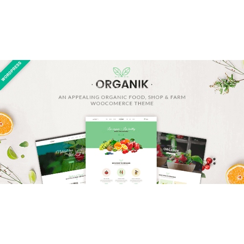 Organik – Organik Gıda Mağazası WordPress Teması